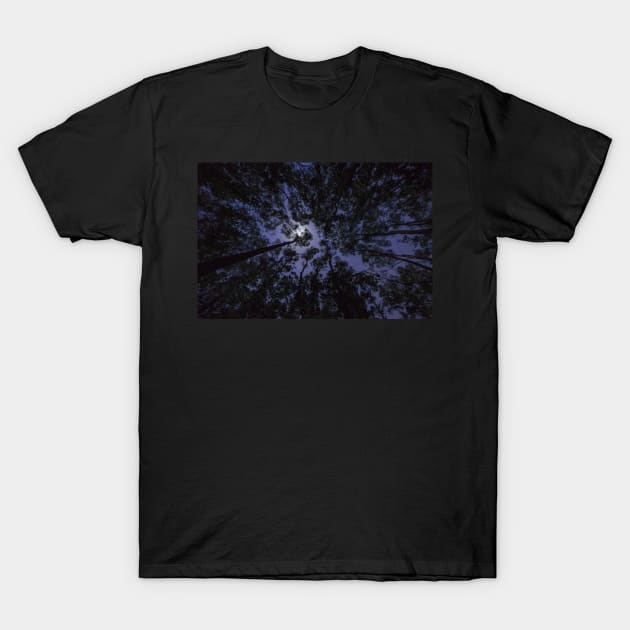 Moon above trees T-Shirt by Proph